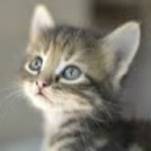 Meet your Posher, Marlo